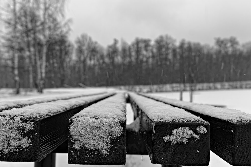 Photograph by Евгений Козлов