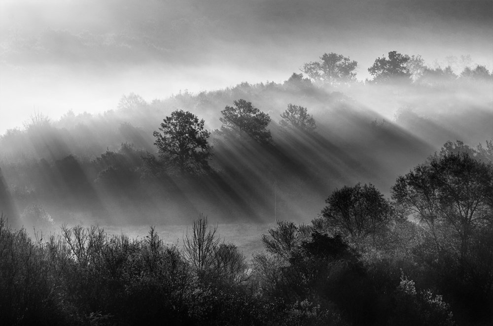 Фотография автора Александър Александров