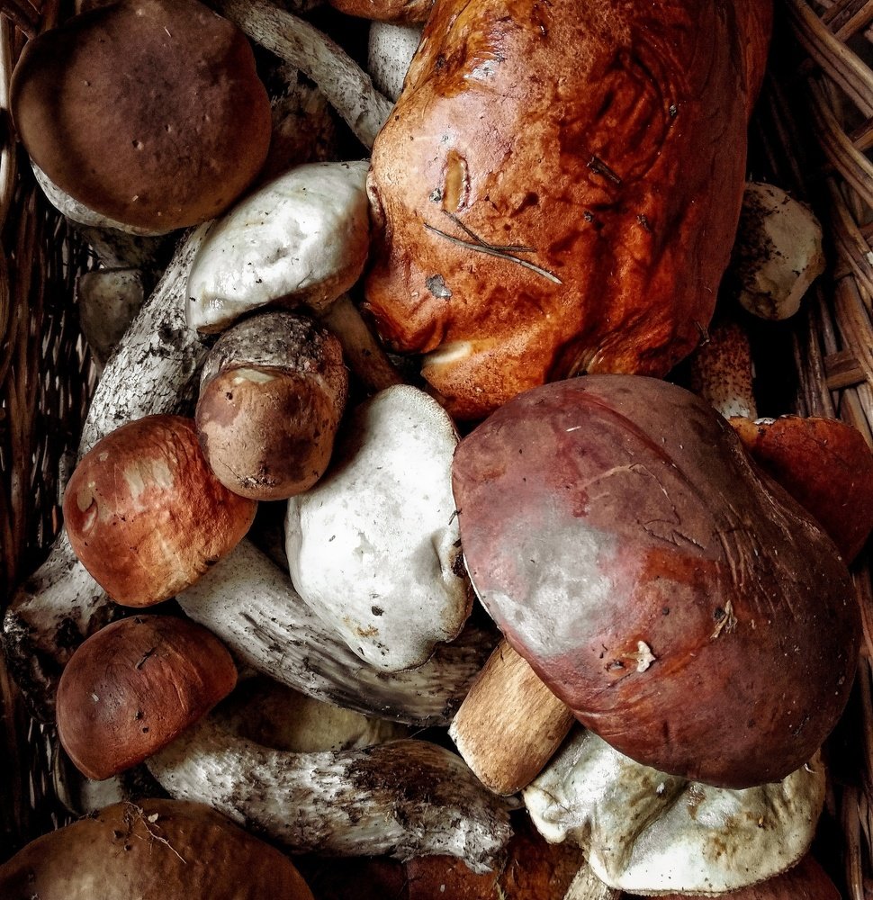 Photograph by Марина Шамич