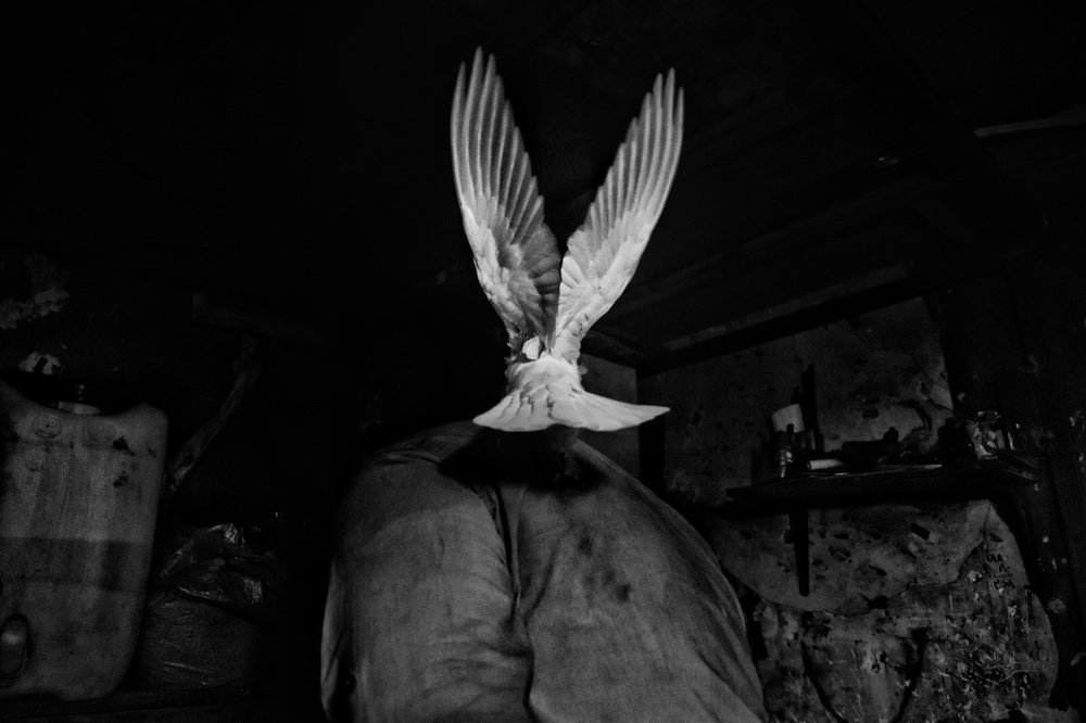 Photograph by Bahram Bayat