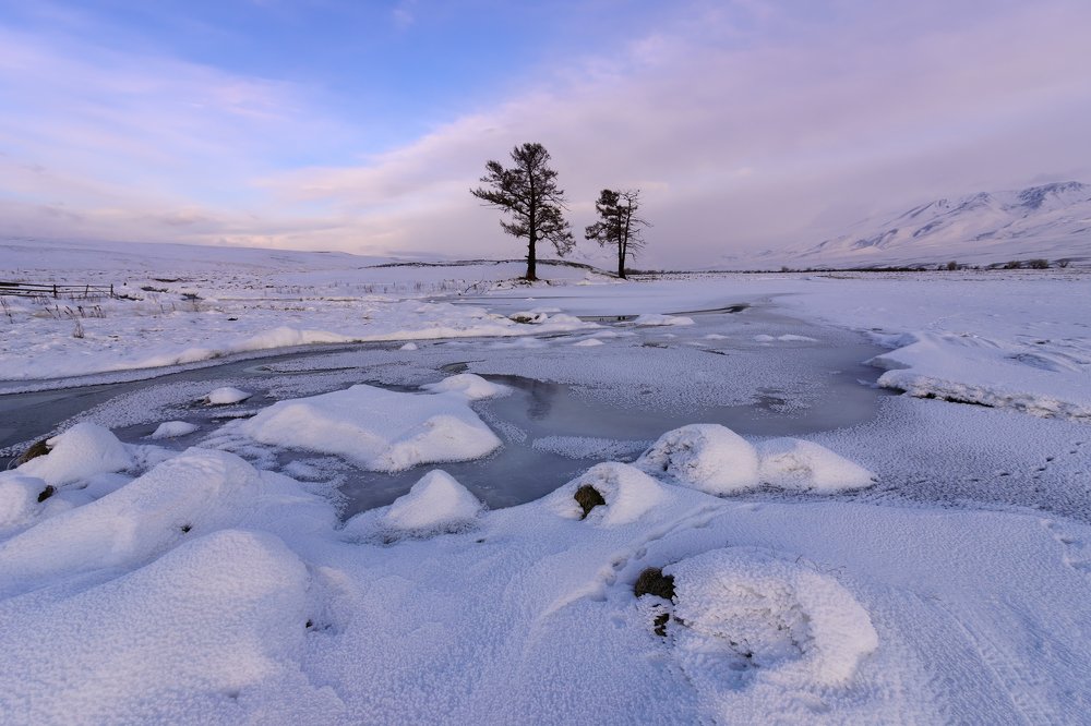 Зимнее утро...