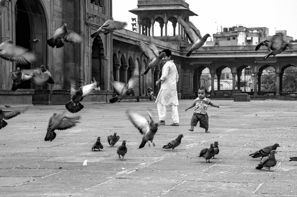 Photograph by narendra kumar pandey