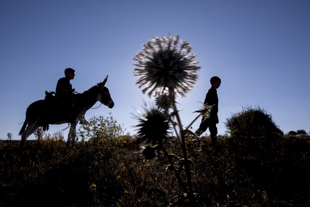 Photograph by Ali Yilmaz