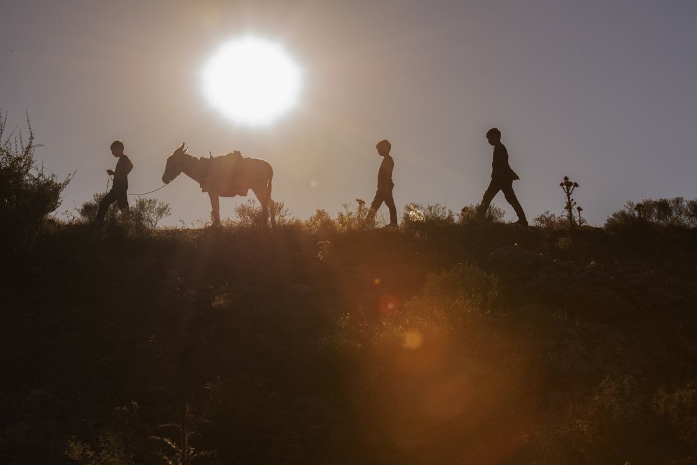 Photograph by Ali Yilmaz