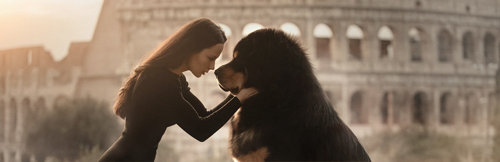 Фотография автора Оксана Серова