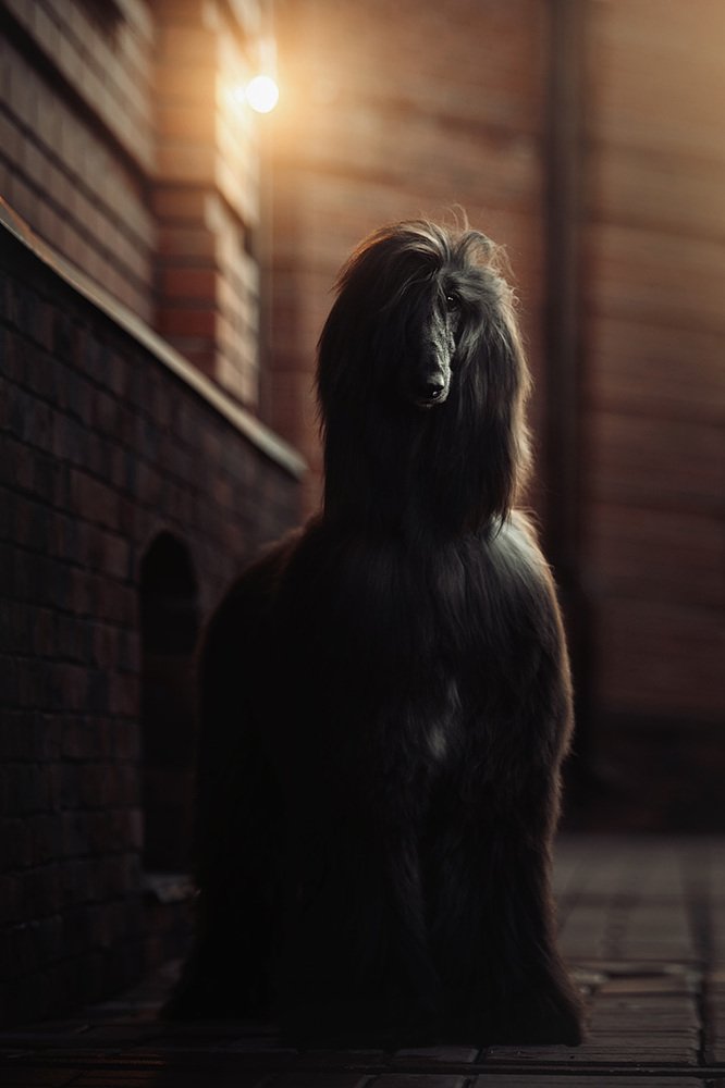 Фотография автора Оксана Серова