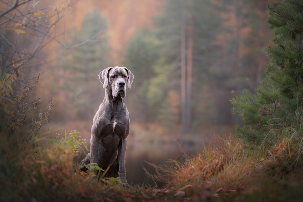 Фотография автора Оксана Серова