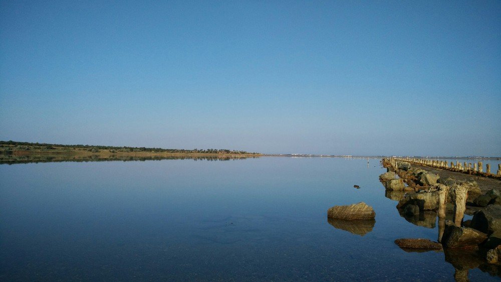 Бодрое утро