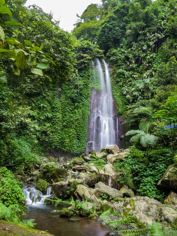 Photograph by aryanto