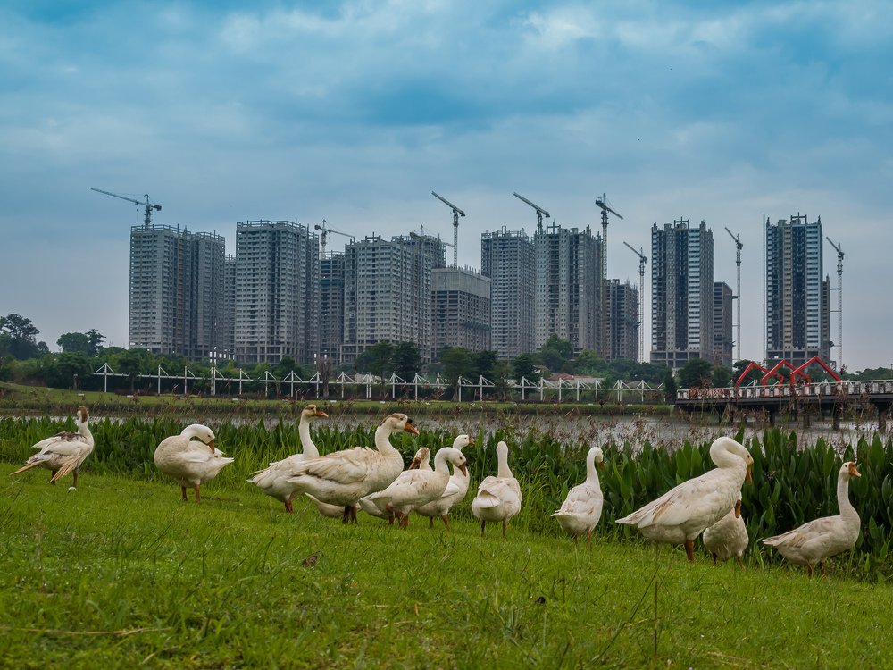 Photograph by aryanto