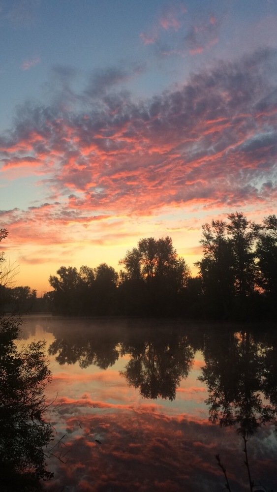 Photograph by Алина Новикова