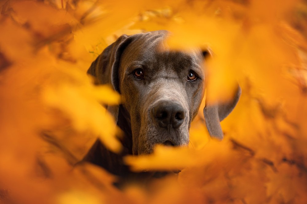 Фотография автора Оксана Серова