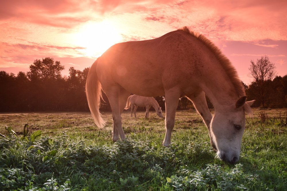 Photograph by Tendero