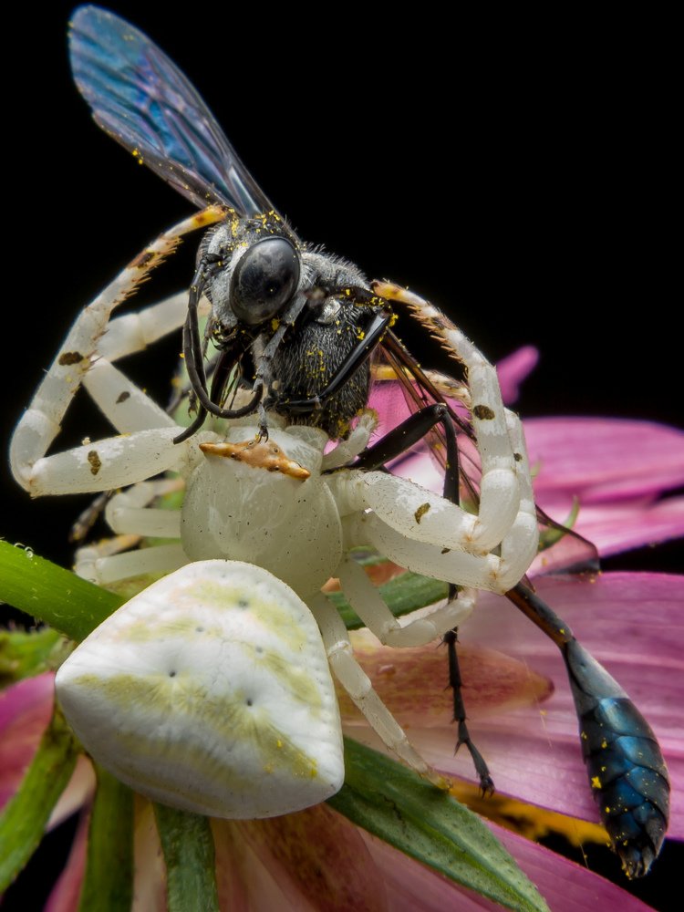 Photograph by aryanto