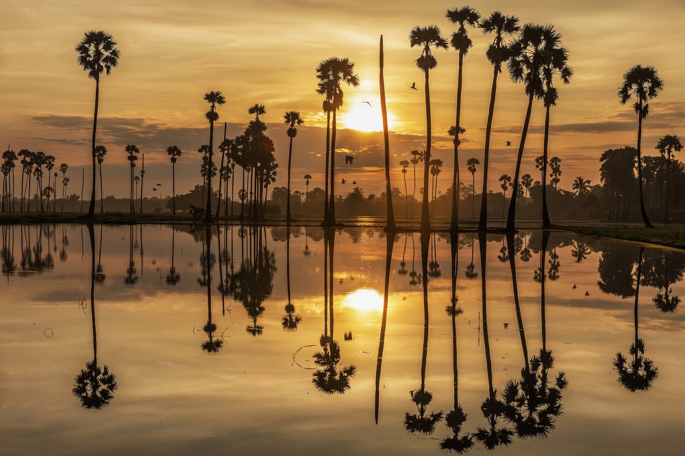 Photograph by JAE EUN KIM