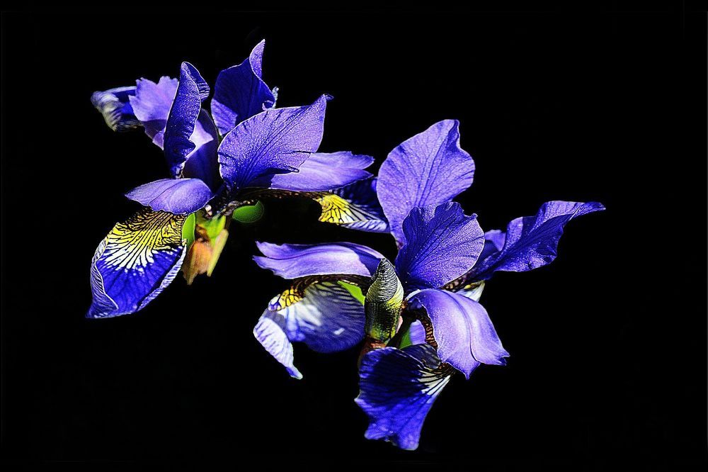 Photograph by Александр Руденко