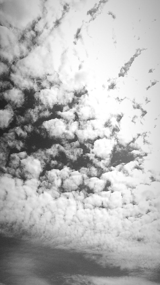 Photograph by Алина Новикова