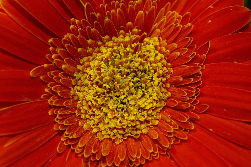 Photograph by Irina Juraeva