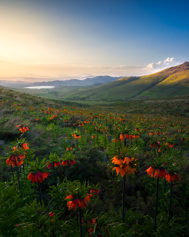 Photograph by sajjad saadat