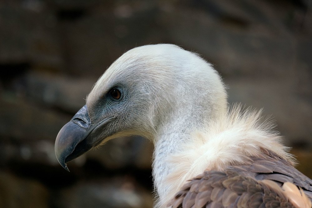 Photograph by Юрьевич Юрий