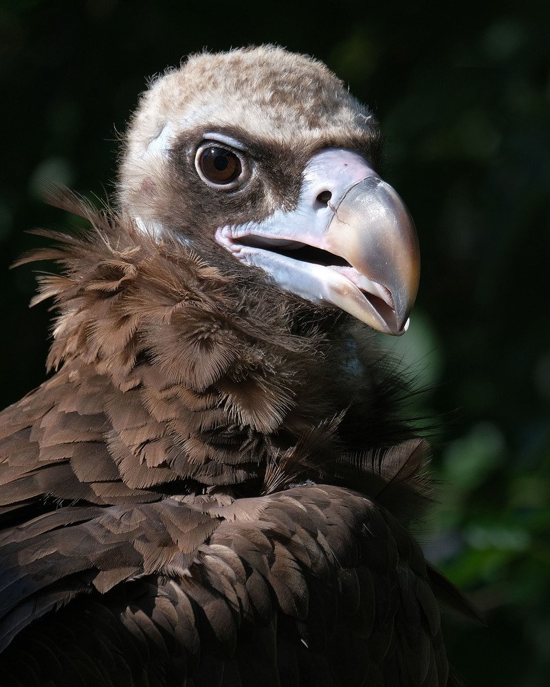 Photograph by Юрьевич Юрий