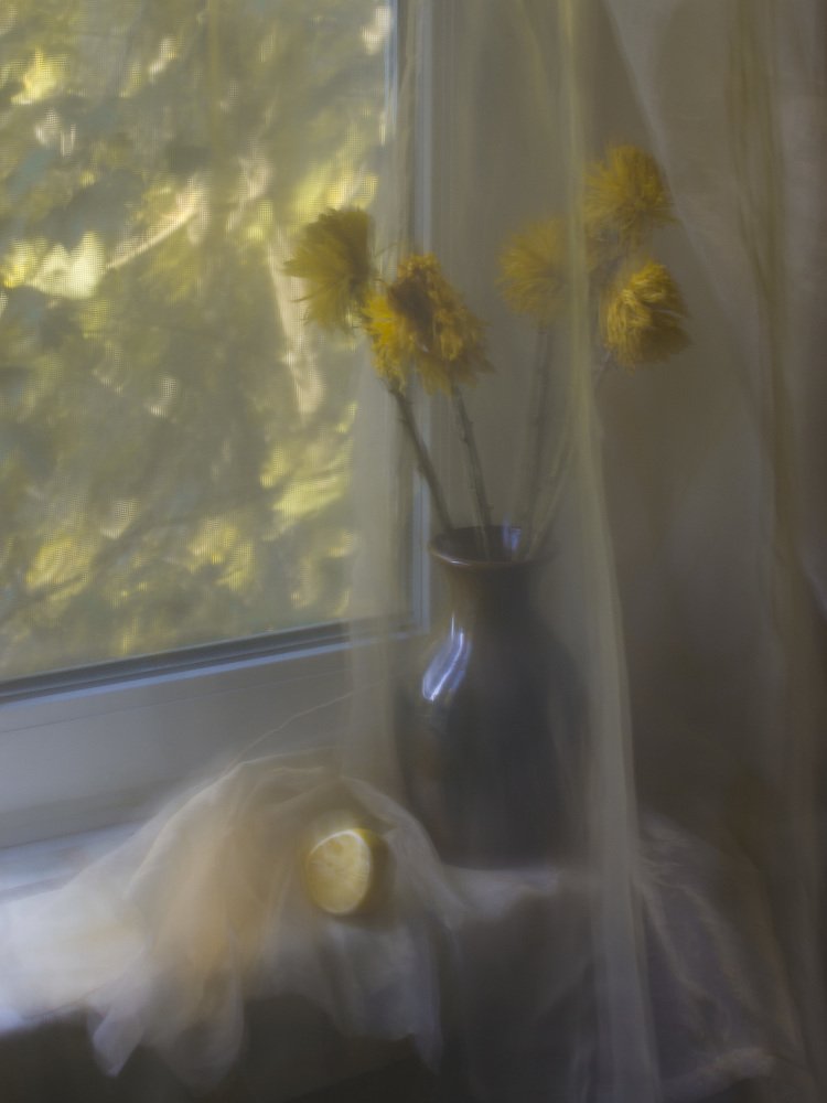 Photograph by Екатерина Измайлова