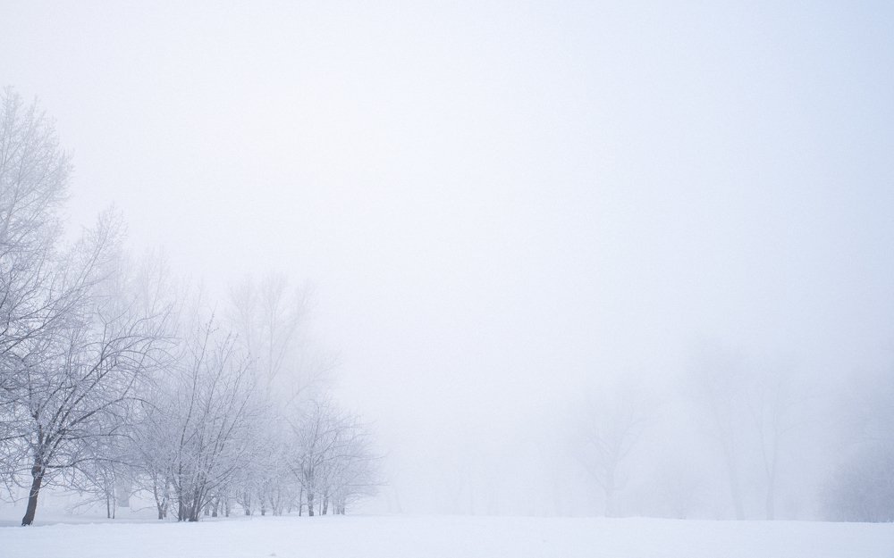 Photograph by Антон Новоселов