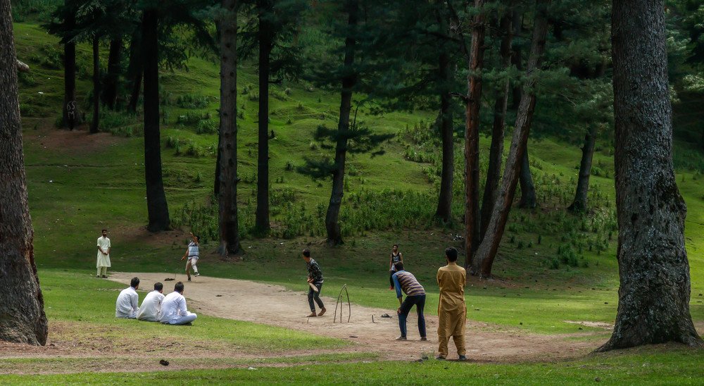 Cricket in Shutdown