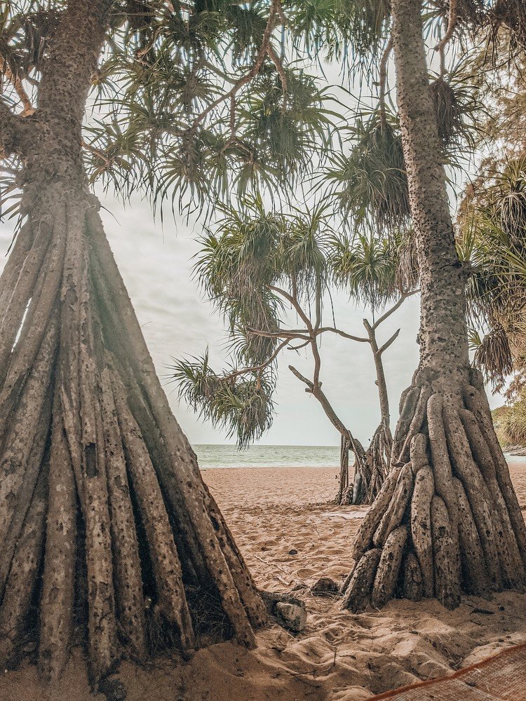 Photograph by Ксения Сарыгина