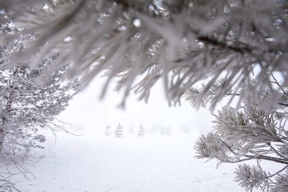 Photograph by Антон Новоселов