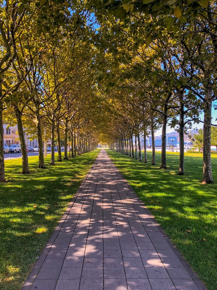 Photograph by Анастасия Кравцова