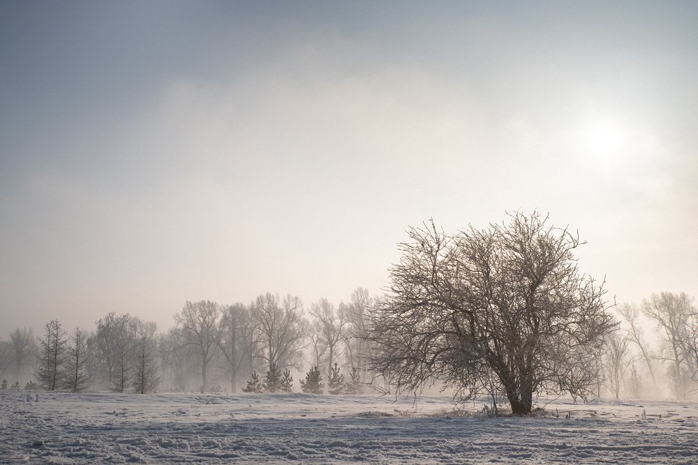 Photograph by Антон Новоселов