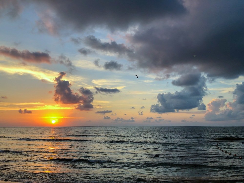 Photograph by Анастасия Кравцова