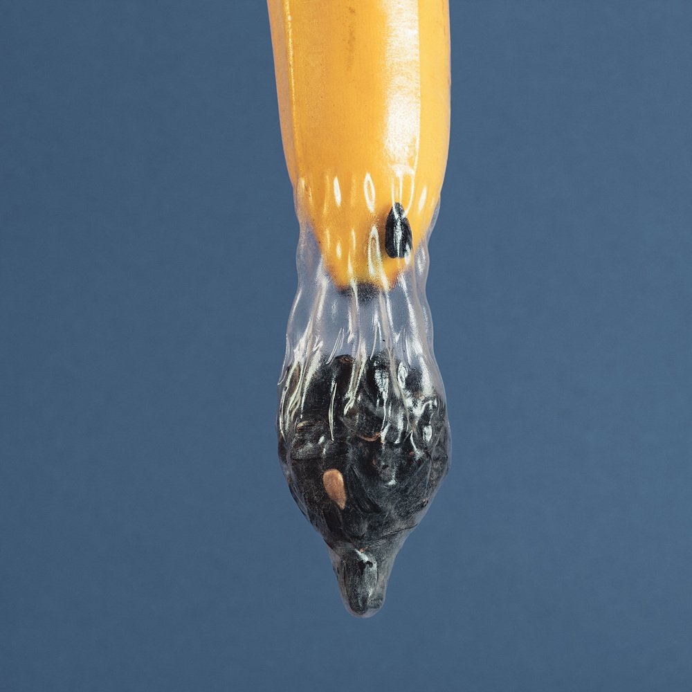 Фотография автора Александр Сергиенко