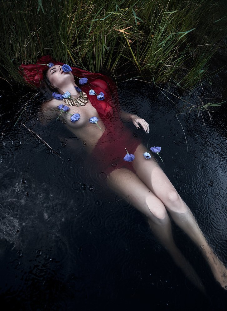 Фотография автора Александр Сергиенко