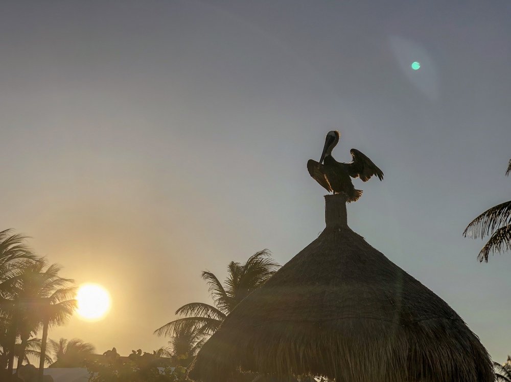 Photograph by Анастасия Кравцова