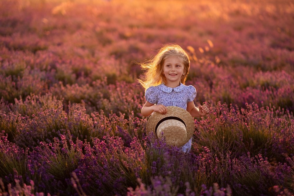 Закат в лаванде