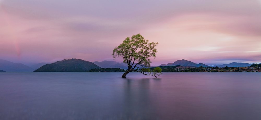 Photograph by Derek Zhang