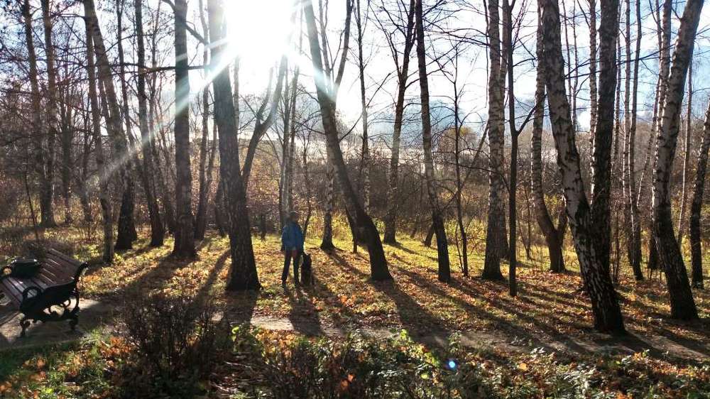 Photograph by Мария Навроцкая