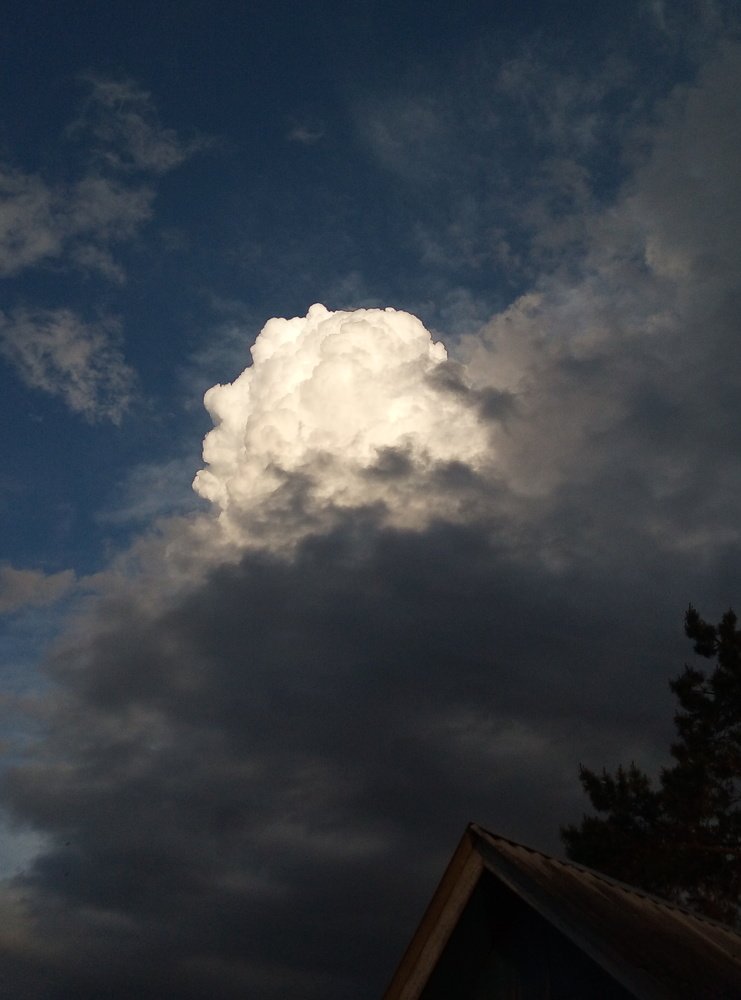 Photograph by Светлана Фёдорова