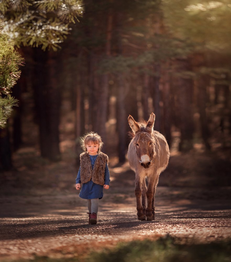 Photograph by Светлана Акшаева