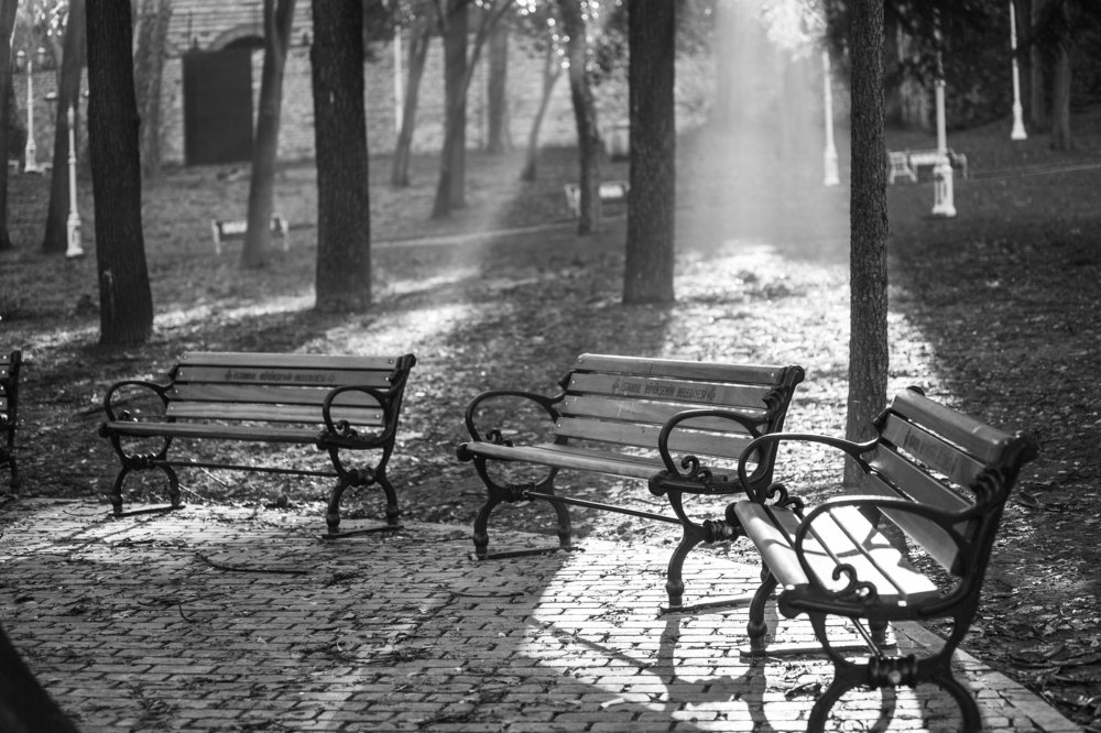 Photograph by Анастасия Ломаева