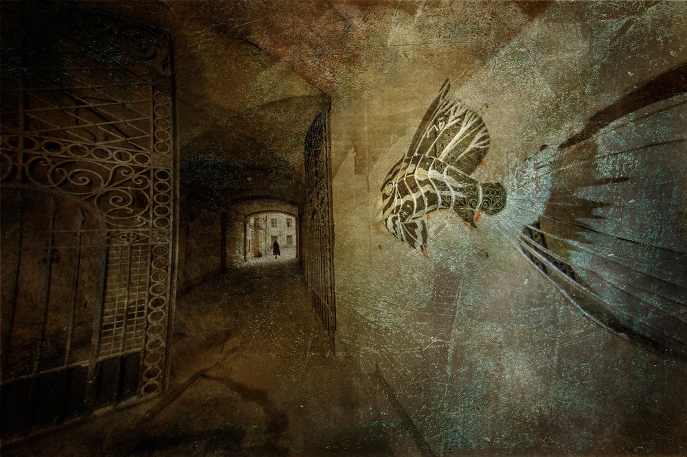 Photograph by Светлана Воробьёва