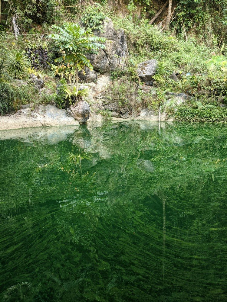 Photograph by Ксения Сарыгина