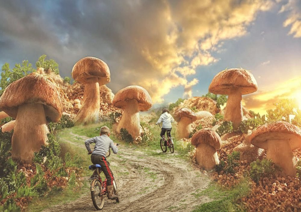 Фотография автора Marina Motey