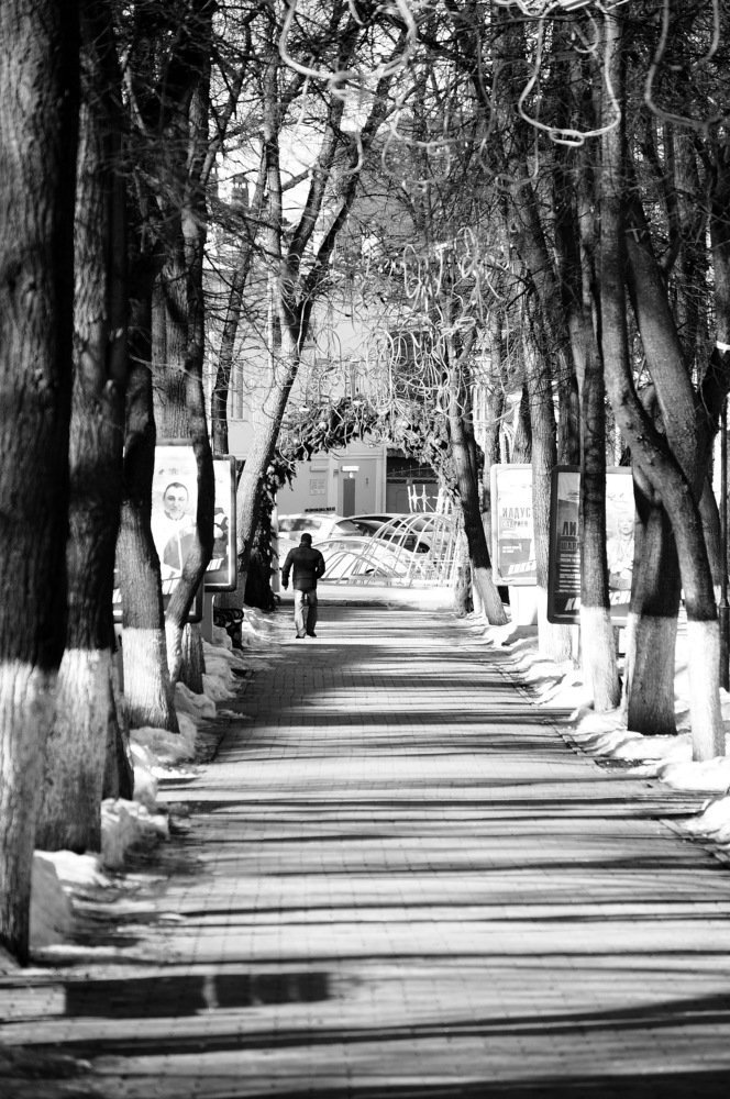 Photograph by Сергей