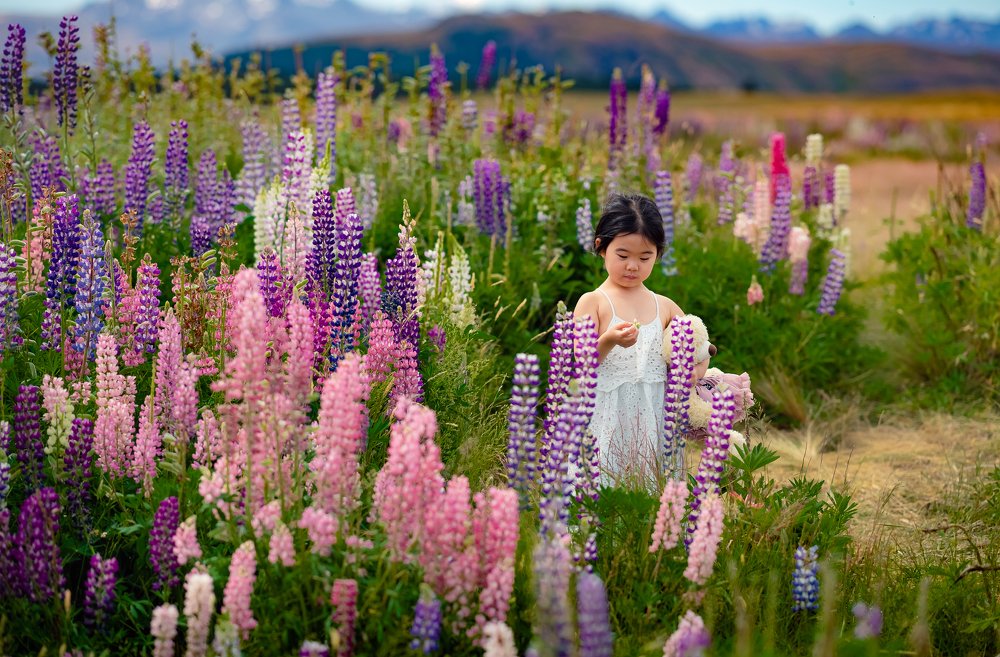 Photograph by Derek Zhang