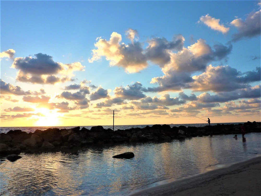 Photo #4424791