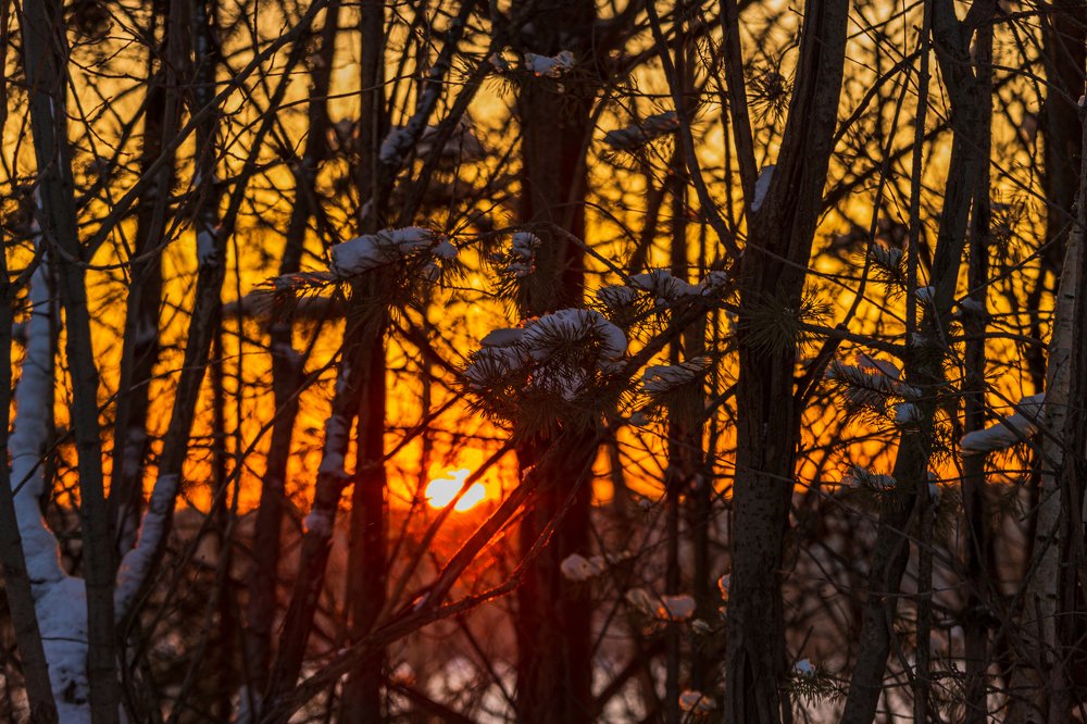 Photograph by Юрий