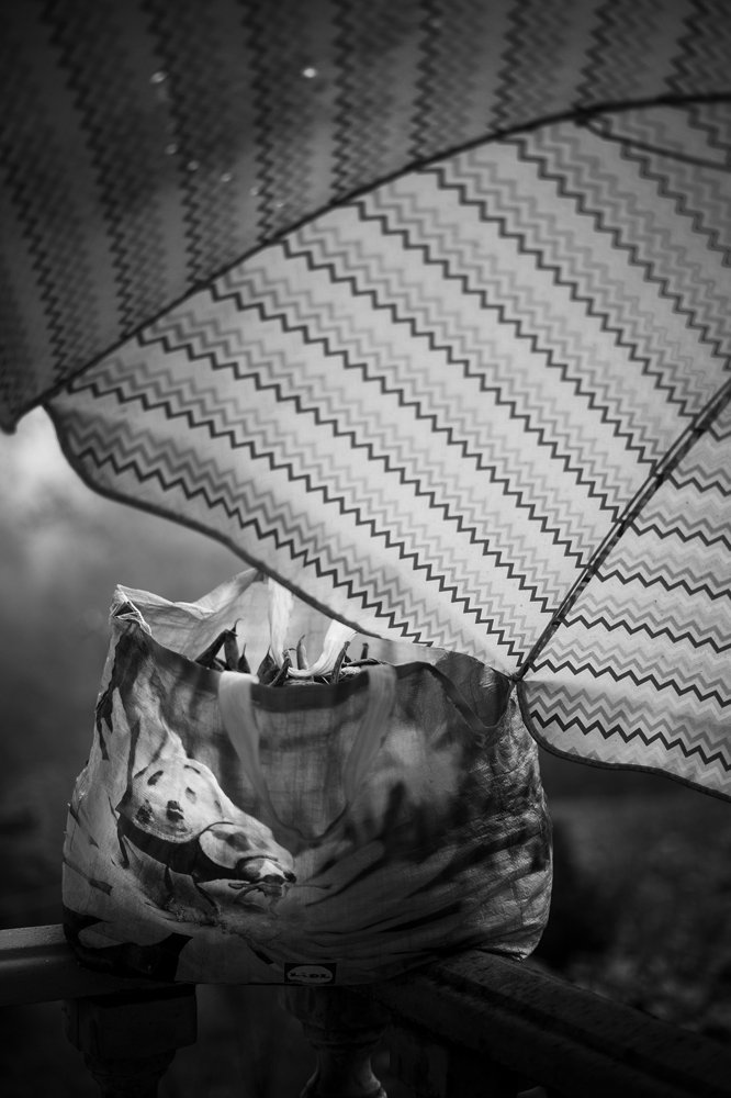 Photograph by Rui Ferreira